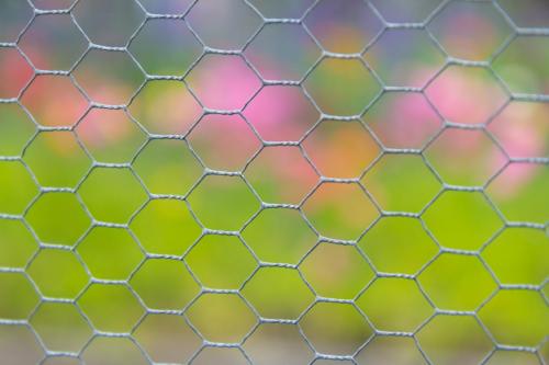 Metallic graphene-like cages as hosts for spring flowers